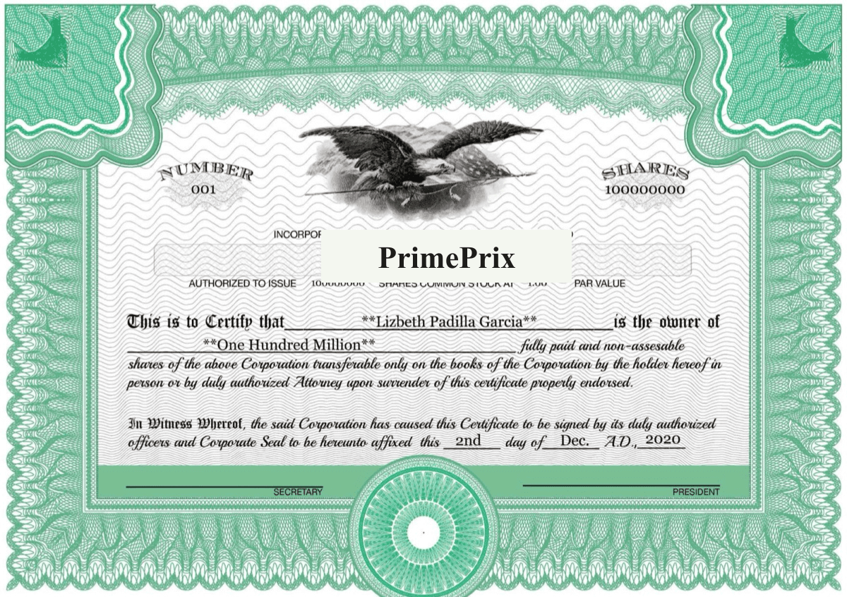 Corporate Stock Certificate document preview